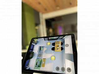  (Showroom of Lighting Company)