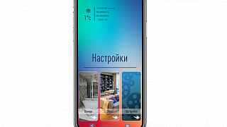 Custom interface for an apartment in Saint Petersburg 